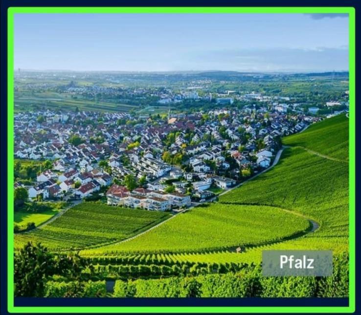Ferienwohnung Forest & Wein Neustadt an der Weinstraße Værelse billede